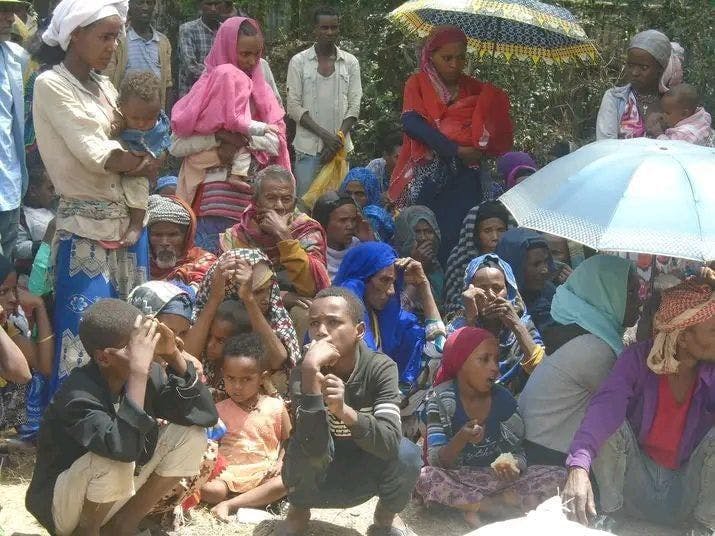 Over 5,000 IDPs from Wollega suffering at Hayk town