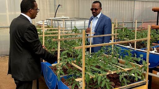 Can urban agriculture assure food security in Ethiopia?
